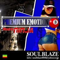 Premium Emotion Vol.3入荷！