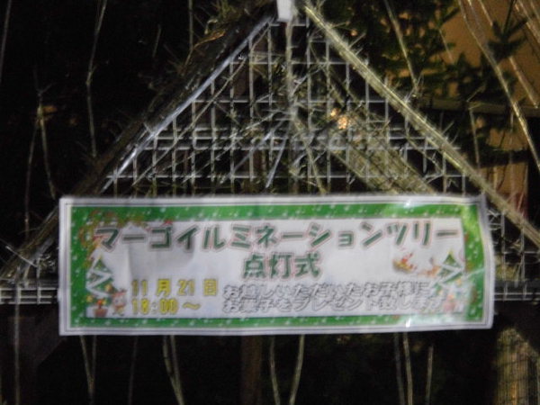 ★マーゴ様にてクリスマスツリーイルミネーション点灯式