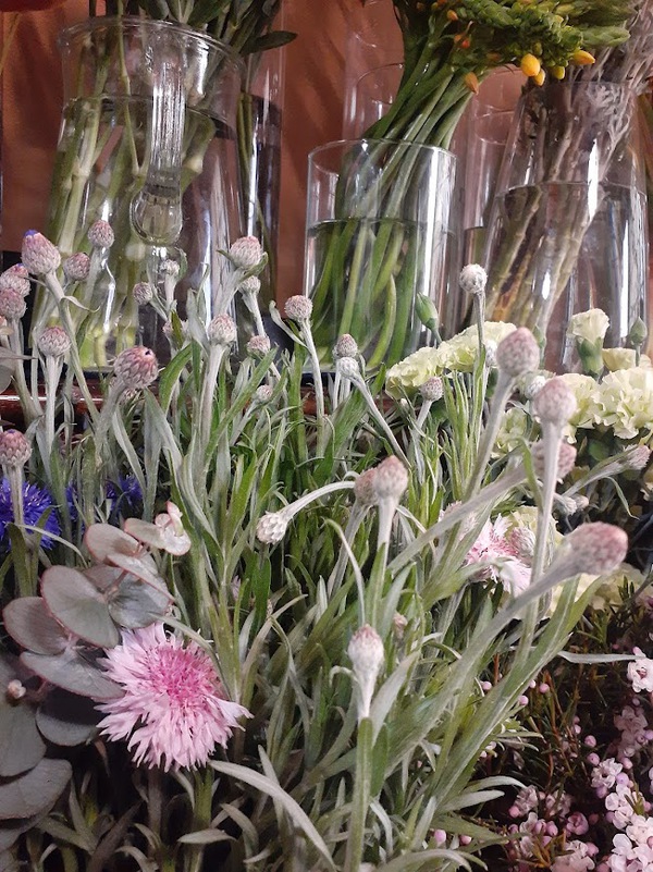 【小さな花屋 F】本日の入荷と店頭の様子