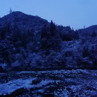 気配を感じる 2019/04/03 07:03:58