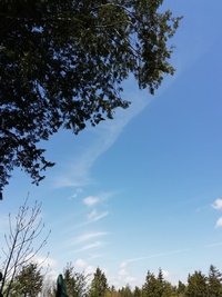 慌てている時こそ 2019/05/19 20:48:52