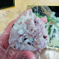 うさぎさん生活を終えて 2019/03/01 22:34:54