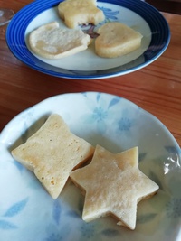 今日のぴんしゃん 2019/06/10 11:53:39