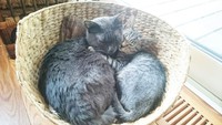 お友達が来たよ♡ 2016/10/16 22:17:58