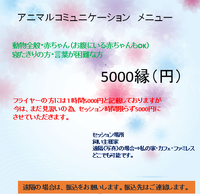 デビュー♡＆メニュー表 2016/11/12 21:52:12