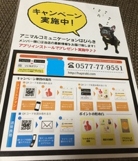 楽しいお家にこれて幸せだった♡ 2016/11/15 20:44:41