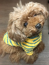 私はだれでもお母さんだよ♡ 2017/03/19 13:43:05