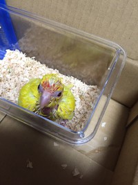 短い時間だったけど幸せだったよ☺ 2016/10/22 17:33:36