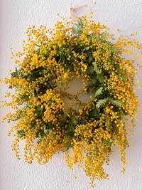 spring spring 2021/02/24 11:50:00