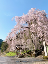 spring punch 2021/03/31 19:54:12