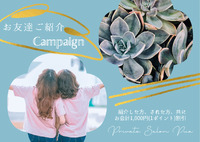 お友達紹介キャンペーン✨ 2022/07/07 21:43:27