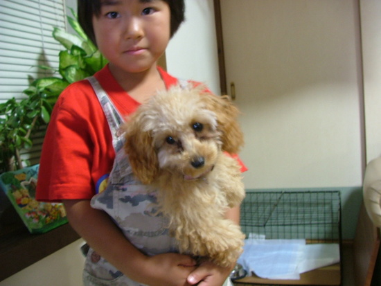 盆前にカット！！涼しくなりました。