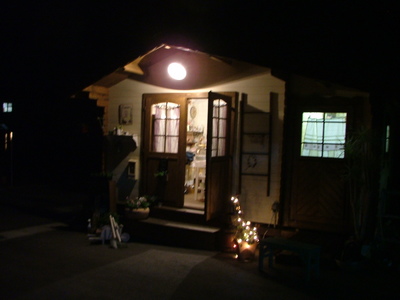 夜のpine