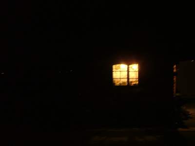 夜のpine