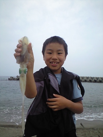 イカ釣ったよ！