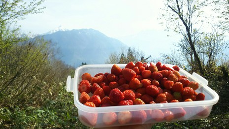 福地山