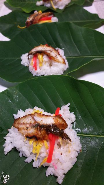 鰻の朴葉寿司