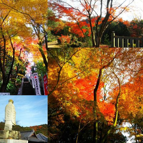 犬山の寂光院へ紅葉狩り