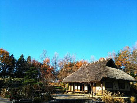 2月5日の記事