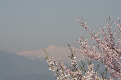 白山