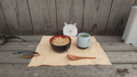 城山で味ご飯