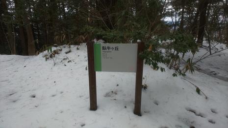 城山で味ご飯