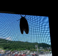 夏本番 2016/07/27 10:58:23