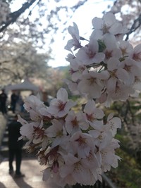 お幸せに～♡ 2015/02/04 23:31:34