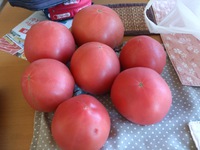 暑い(^^ゞ 2015/07/26 09:19:21