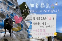 野原のミュージアムで遊ぼう♬ 2023/04/27 08:46:44