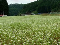 ふれあい広場は土日祝開催！