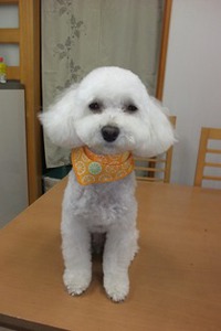 元気になって、きれいになったよ