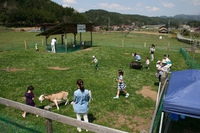 動物ふれあい広場やってます。