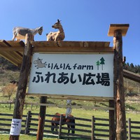 ヤギジムのそれから