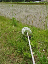 今年三度目の草刈りをしてきまし… 2024/07/25 17:39:13