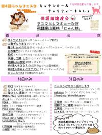 #にゃんフェスタ　#子猫　#猫… 2024/03/27 17:35:53