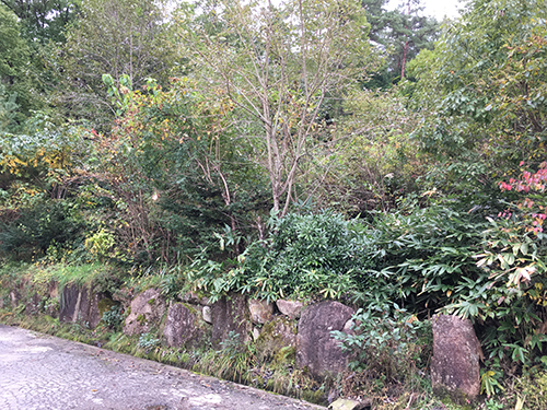 【高山市新宮町】おススメ土地物件のご紹介【50万】