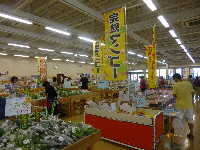 宮古島観光　４日目(๑◔‿◔๑)　７月３日編
