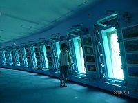 宮古島観光　４日目(๑◔‿◔๑)　７月３日編