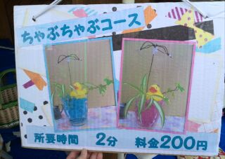 森の市&清見クラフト展いってきたよ♪