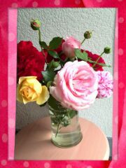 よしま農園さんの薔薇♡