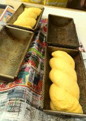 7月のパン教室☆