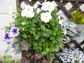 今日やったあれやこれや・・・(๑◔‿◔๑)