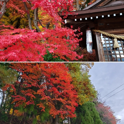 仕事の合間に・・・(๑◔‿◔๑)