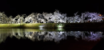 初コストコ♪