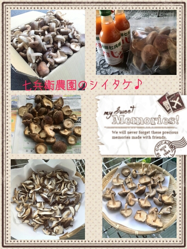 7bey(七兵衛）さんのシイタケ☆