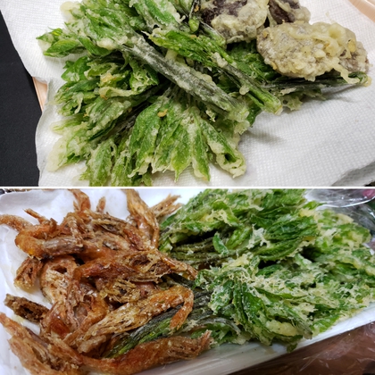 水槽の掃除と天ぷら祭り♪♪