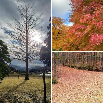 飛騨清見の紅葉✿