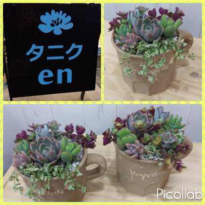 タニクenさんでワークショップ体験♪