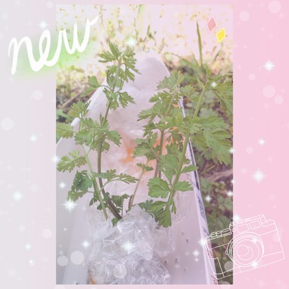 犯人がわかってε-(´∀｀*)ﾎｯ